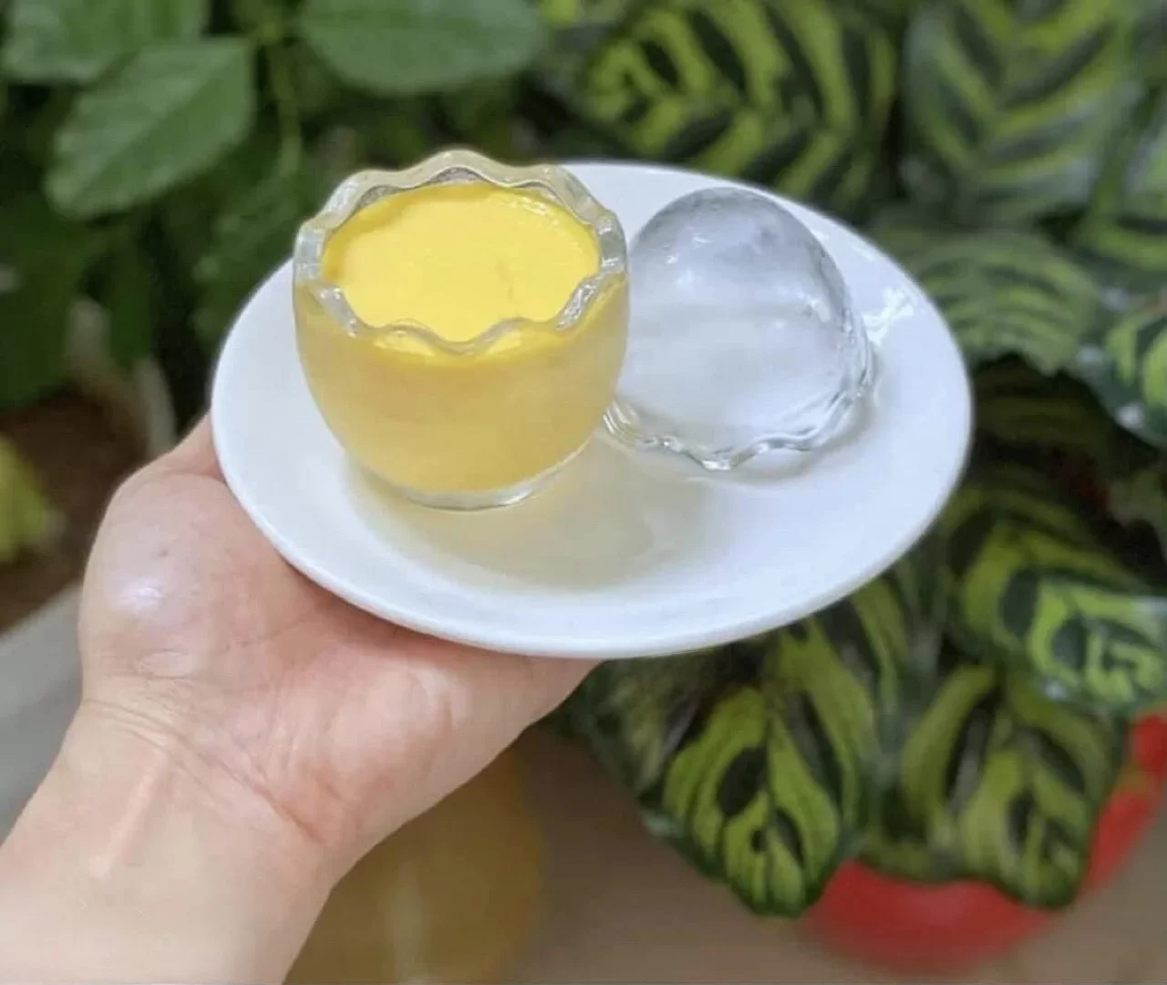 Nên ăn phô mai trước hay sau bữa chính?
